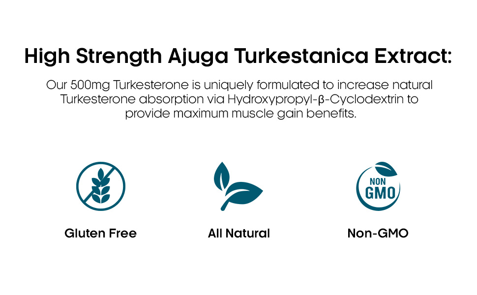 500mg Turkesterone utilising a high dose or Ajuga Turkestanica ( standardised for Turkesterone )