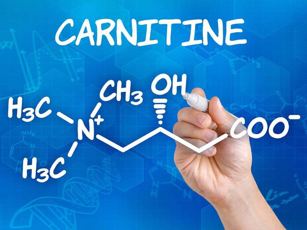 What is L-Carnitine?