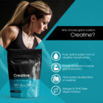 Gains Nutrition Creatine Monohydrate Powder – 333 Servings